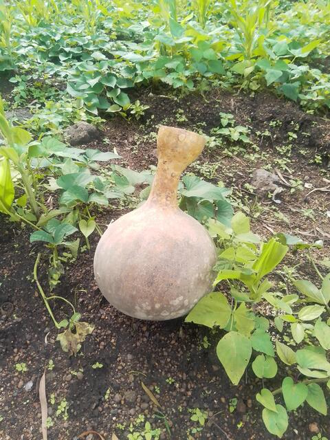 Water Jug 