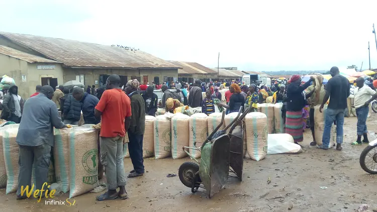 MANGU MARKET (Lutuk) Maize Market