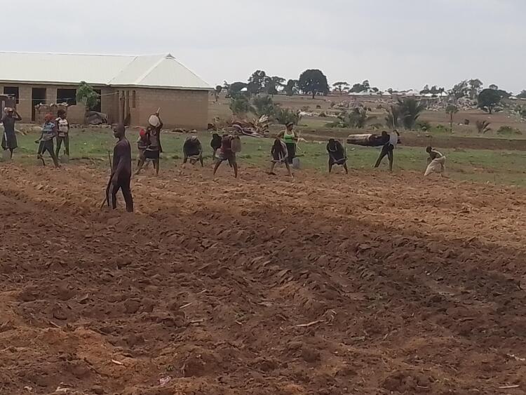 Farmers 